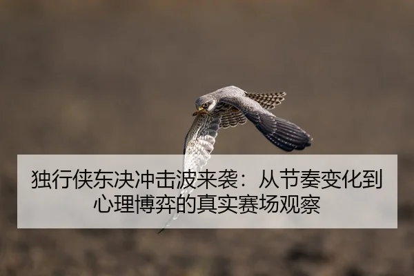 独行侠东决冲击波来袭：从节奏变化到心理博弈的真实赛场观察